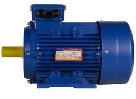 Электродвигатель 5АИ 100 S4 3/1500 IM 1081 01.01.213667