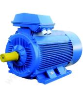 Электродвигатель 315 М4  IM 1001 200/1500  (5АИ)