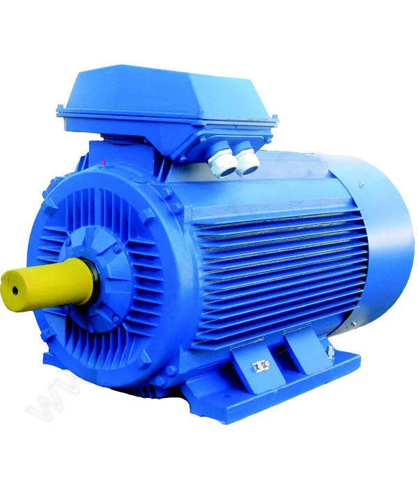 Электродвигатель 315 М4  IM 1001 200/1500  (5АИ)