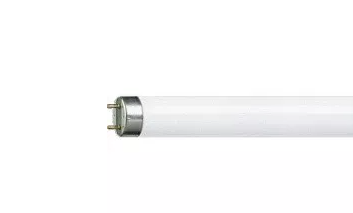 Лампа TL-D 30W/54-765 1SL/25 G13  Philips 928025405423 900мм