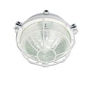 Светильник ДПП-03-13-001 LED прозрачный c лампой холодный Е27 IP65