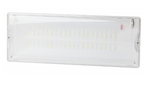 DPA-301-0-65 Аварийный светильник светодиодный ЭРА DPA-301-0-65 непостоянный 40LED 3ч IP65