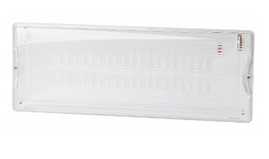 DPA-301-0-65 Аварийный светильник светодиодный ЭРА DPA-301-0-65 непостоянный 40LED 3ч IP65